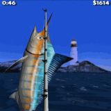 Dwonload Big Sport Fishing 3D Cell Phone Game